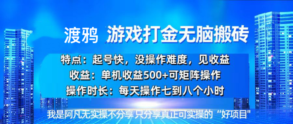 （13501期）韩国知名游戏打金无脑搬砖单机收益500+-黑斯坦丁项目网