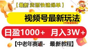 （13530期）视频号最新玩法 中老年赛道 月入3W+-黑斯坦丁项目网