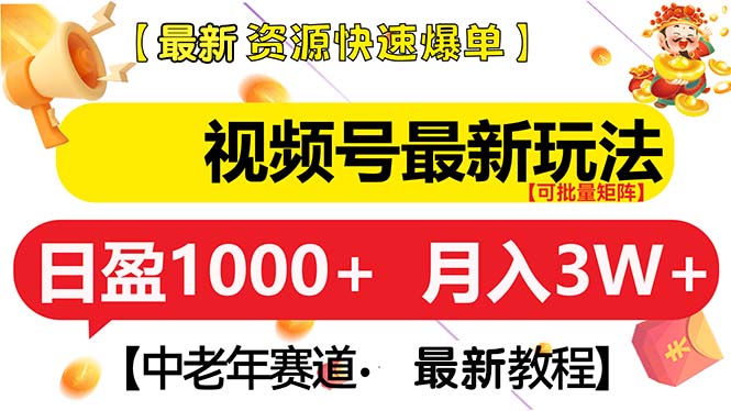(13530期)视频号最新玩法 中老年赛道 月入3W+-黑斯坦丁项目网