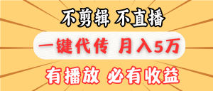 (13555期)不剪辑不直播,一键代发,月入5万懒人必备,我出视频你来发-黑斯坦丁项目网