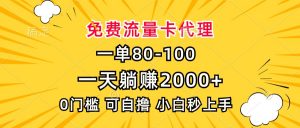 （13551期）一单80，免费流量卡代理，一天躺赚2000+，0门槛，小白也能轻松上手-黑斯坦丁项目网