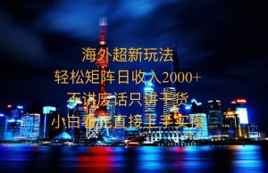 （13583期）2025全新海外暴力玩法，操作简单，小白轻松上手-黑斯坦丁项目网