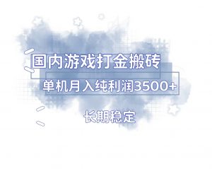 （13584期）国内游戏打金搬砖，长期稳定，单机纯利润3500+多开多得-黑斯坦丁项目网