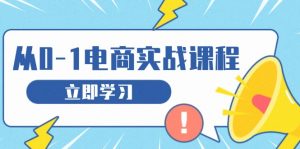 (13594期)从零做电商实战课程,教你如何获取访客、选品布局,搭建基础运营团队-黑斯坦丁项目网