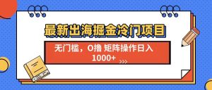 (13672期)最新出海掘金冷门项目,单号日入1000+-黑斯坦丁项目网