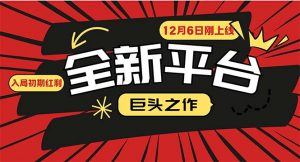 （13696期）又一个全新平台巨头之作，12月6日刚上线，小白入局初期红利的关键，想…-黑斯坦丁项目网