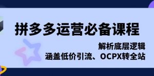 （13700期）拼多多运营必备课程，解析底层逻辑，涵盖低价引流、OCPX转全站-黑斯坦丁项目网