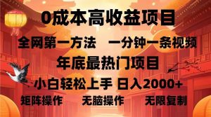 (13723期)0成本高收益蓝海项目,一分钟一条视频,年底最热项目,小白轻松日入…-黑斯坦丁项目网