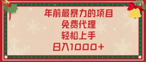 （13773期）年前最暴力的项目，免费代理，轻松上手，日入1000+-黑斯坦丁项目网