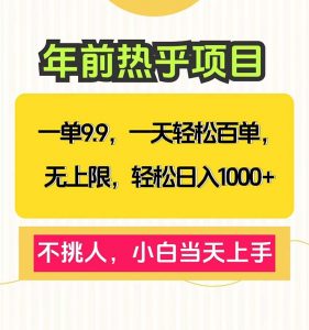 （13795期）一单9.9，一天百单无上限，不挑人，小白当天上手，轻松日入1000+-黑斯坦丁项目网