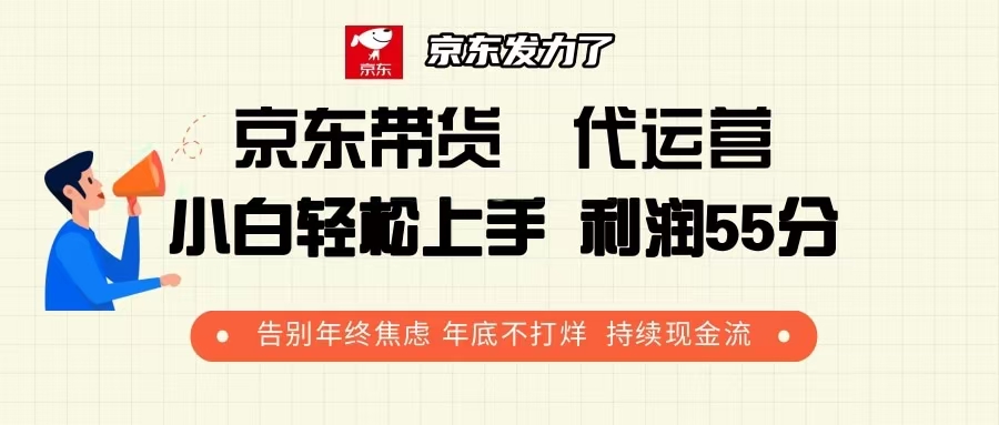 （13833期）京东带货 代运营 利润55分 告别年终焦虑 年底不打烊 持续现金流-黑斯坦丁项目网