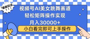 （13813期）视频号蓝海赛道玩法，当天起号，拉爆流量收益，小白也能轻松月入30000+-黑斯坦丁项目网