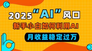 （13821期）2025“ AI ”风口，新手小白如何利用ai，每月收益稳定过万-黑斯坦丁项目网