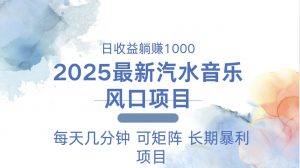 （13894期）2025最新汽水音乐躺赚项目 每天几分钟 日入1000＋-黑斯坦丁项目网