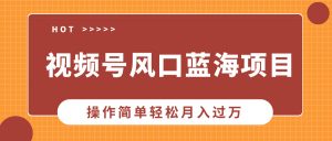 （13945期）视频号风口蓝海项目，中老年人的流量密码，操作简单轻松月入过万-黑斯坦丁项目网