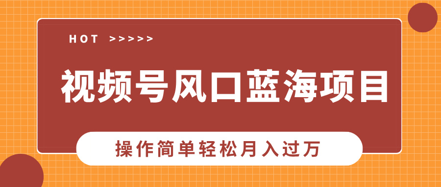 （13945期）视频号风口蓝海项目，中老年人的流量密码，操作简单轻松月入过万-黑斯坦丁项目网