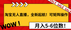 （13946期）淘宝无人直播，全新起航！可矩阵操作，月入5-6位数！-黑斯坦丁项目网