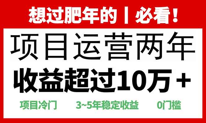 （13952期）2025快递站回收玩法：收益超过10万+，项目冷门，0门槛-黑斯坦丁项目网