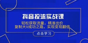 （13954期）抖音投流实战课，轻松获取流量，精准出价，复制大V成功之路，实现变现翻倍-黑斯坦丁项目网