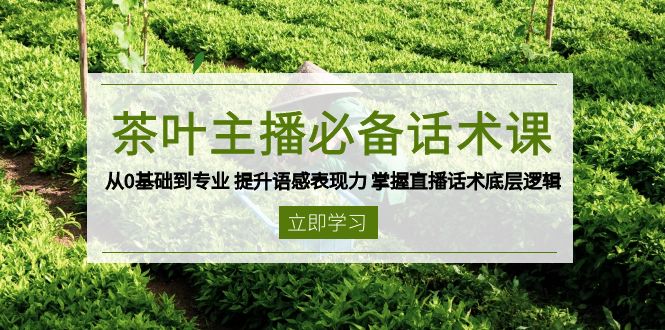 (13961期)茶叶 主播必备话术课 从0基础到专业 提升语感表现力 掌握直播话术底层逻辑-黑斯坦丁项目网