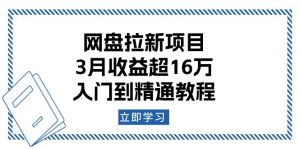 （13994期）网盘拉新项目：3月收益超16万，入门到精通教程-黑斯坦丁项目网