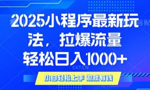 (14028期)2025年小程序最新玩法,流量直接拉爆,单日稳定变现1000+-黑斯坦丁项目网