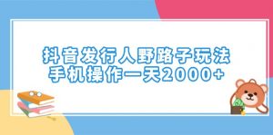 （14041期）抖音发行人野路子玩法，手机操作一天2000+-黑斯坦丁项目网