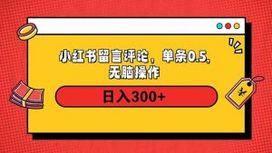 （14044期）小红书评论单条0.5元，日入300＋，无上限，详细操作流程-黑斯坦丁项目网