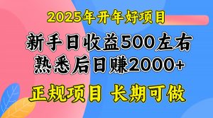 （14076期）2025开年好项目，单号日收益2000左右-黑斯坦丁项目网