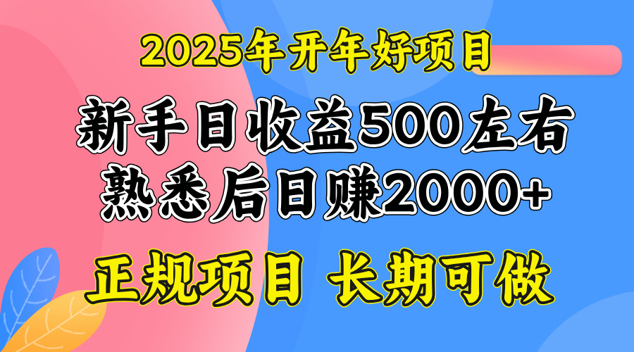(14076期)2025开年好项目,单号日收益2000左右-黑斯坦丁项目网
