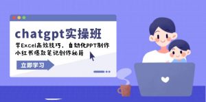 （14079期）chatgpt实战班，学Excel高效技巧，自动化PPT制作，小红书爆款笔记创作秘籍-黑斯坦丁项目网