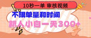 （14093期）10秒一单，审核视频 ，不限单量时间，新人小白一天300+-黑斯坦丁项目网