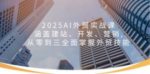 （14135期）2025AI外贸实战课：涵盖建站、开发、营销, 从零到三全面掌握外贸技能-黑斯坦丁项目网