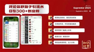 (14139期)评论区野路子截流创业粉新方法,日被动加300+创业粉,精准引流被动添加…-黑斯坦丁项目网