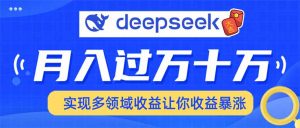 （14140期）用DeepSeek席卷各大平台，快速上手实现多领域，让你收入猛增-黑斯坦丁项目网
