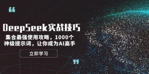 （14147期）DeepSeek实战技巧：集合最强使用攻略，1000个神级提示词，让你成为AI高手-黑斯坦丁项目网