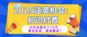 2025逆袭项目——知识付费,小白也能月入10万年入百万,抓住机会彻底翻…-黑斯坦丁项目网