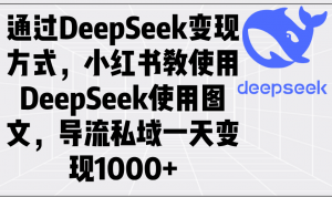 通过DeepSeek变现方式，小红书教使用DeepSeek图文，导流私域一天变现1000+-黑斯坦丁项目网