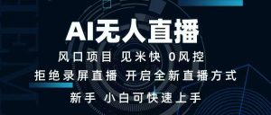 AI无人直播技术 单日收益1000+ 新手，小白可快速上手-黑斯坦丁项目网
