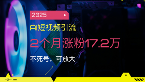 2025AI短视频引流，2个月涨粉17.2万，不死号，可放大-黑斯坦丁项目网