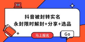 抖音被封转实名攻略，永久封禁也能限时解封，分享解封后高效选品技巧-黑斯坦丁项目网
