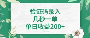 验证码录入，几秒一单，单日收益200+-黑斯坦丁项目网
