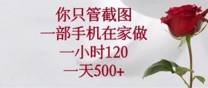 你只管截图，一部手机在家做，一小时120，一天500+-黑斯坦丁项目网
