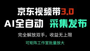 京东视频带货3.0，Ai全自动采集＋自动发布，完全解放双手，收入无上限…-黑斯坦丁项目网
