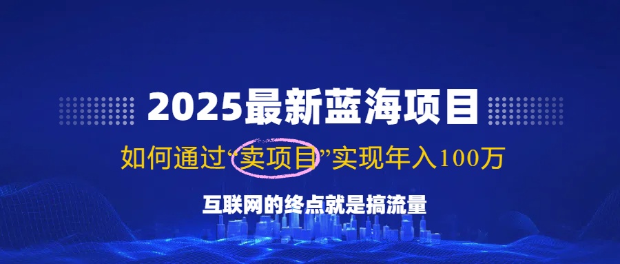2025最新蓝海项目,零门槛轻松复制,月入10万+,新手也能操作!-黑斯坦丁项目网