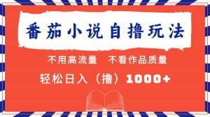 （13014期）番茄小说最新自撸 不看流量 不看质量 轻松日入1000+-黑斯坦丁项目网