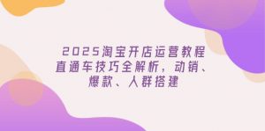 2025淘宝开店运营教程更新,直通车技巧全解析,动销、爆款、人群搭建-黑斯坦丁项目网