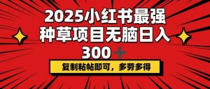 2025小红书最强种草项目，无脑日入300+，复制粘帖即可，多劳多得-黑斯坦丁项目网