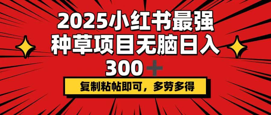 2025小红书最强种草项目，无脑日入300+，复制粘帖即可，多劳多得-黑斯坦丁项目网