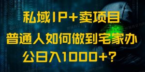 私域IP+卖项目，普通人如何做到宅家办公实现日入1000+-黑斯坦丁项目网